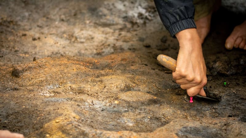 Přelomový objev z Moravy: Rytina z doby ledové přepisuje podle vědců mapu jeskynního umění