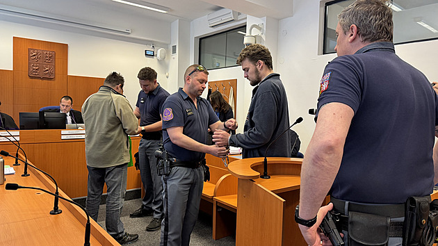 Nájemná vražda manželky. Soud rozhoduje o muži, který si ji podle obžaloby objednal