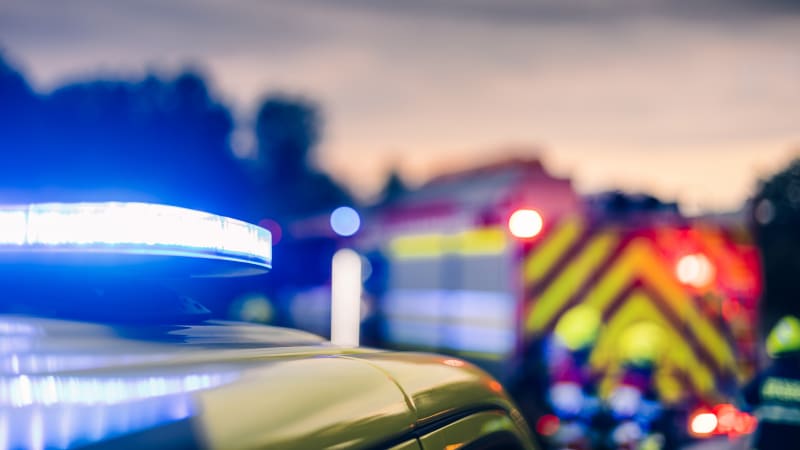 Smrtelná nehoda na Domažlicku: Řidič zemřel po nárazu do stromu, nepřežil ani jeho pes