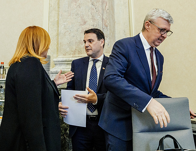 Zpřísnění trestů za týrání zvířat a povinnost obcí kastrovat opuštěné kočky