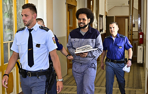 Feri chce z vězení. U soudu jeho žádost podpořili státní zástupce i psycholožka